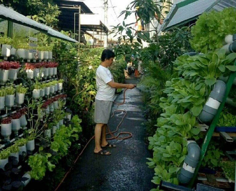 5 Toko  Tanaman  dan Peralatan Berkebun Online di  Jakarta 