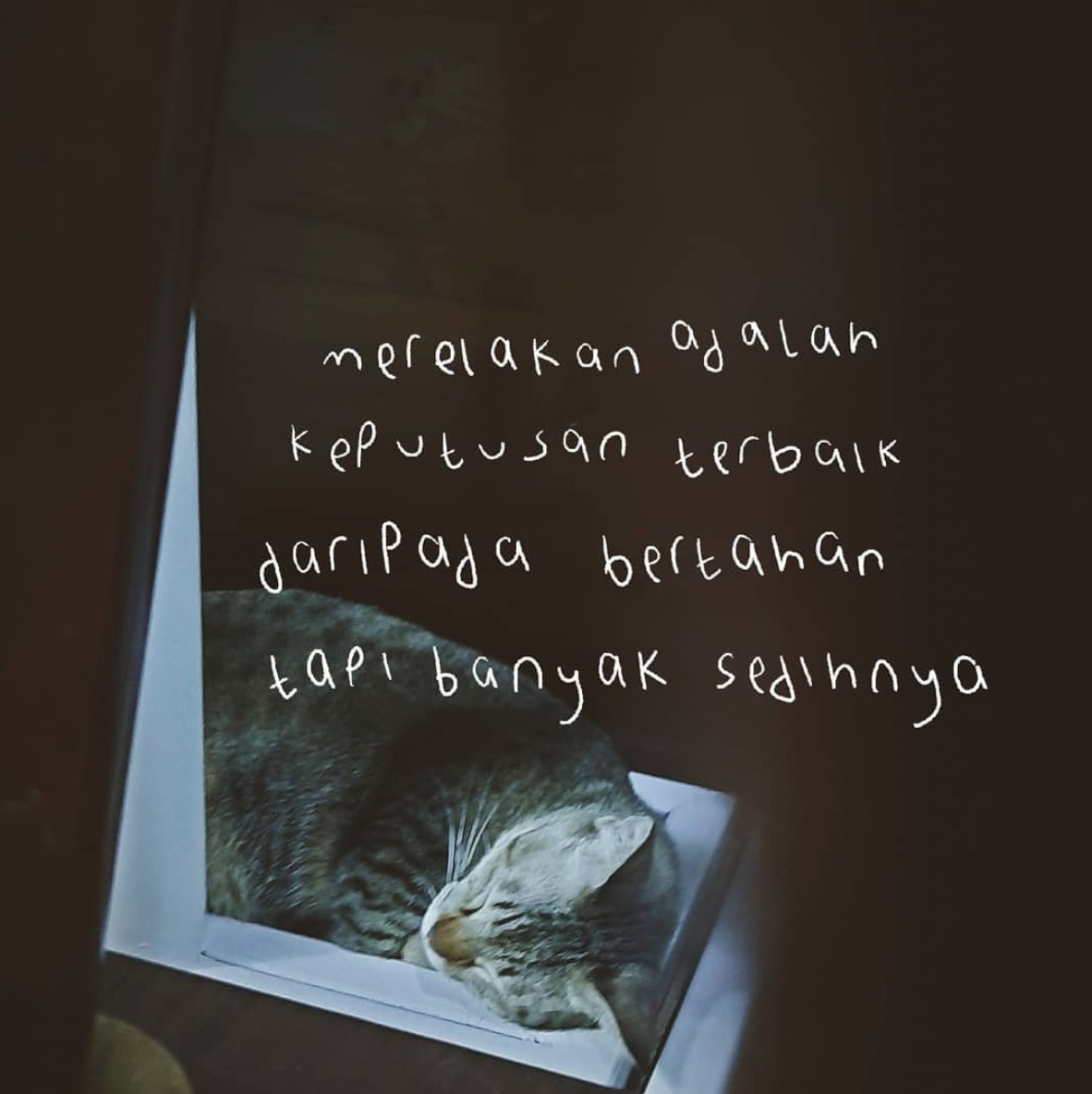 10 Akun Quotes Di Instagram Yang Memompa Motivasi Diri