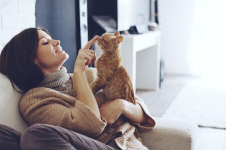 Kost Pet Friendly Jakarta | Hunian Terjangkau untuk Pencinta Binatang